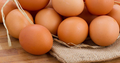 Almanya'da yumurta üreticilerine soruşturma başlatıldı