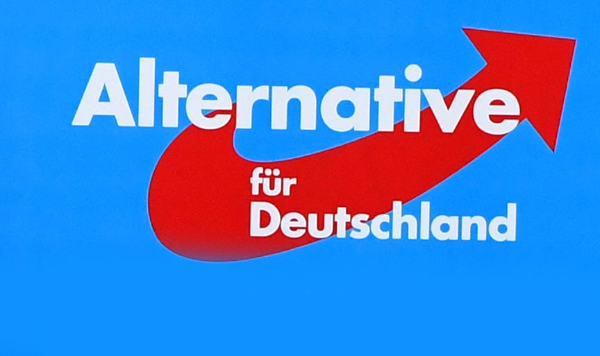 AfD‘nin yasaklanması için 10 bin kişi gösteri düzenledi