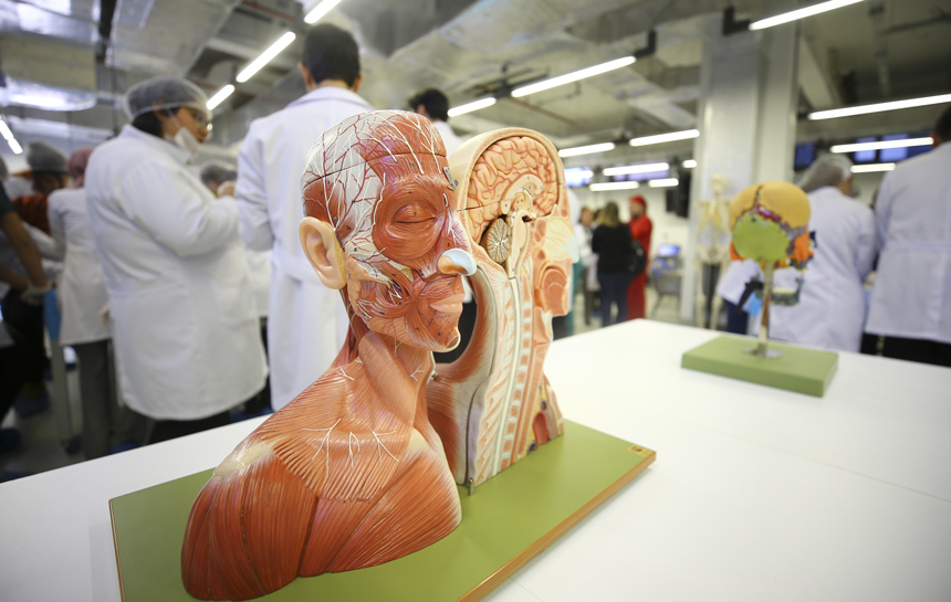 Orta yaştaki kadınların hafızası daha güçlü Orta yaştaki kadınların hafızası daha güçlü