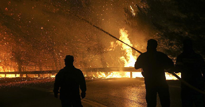 Brandenburg Eyaleti’nde orman yangını