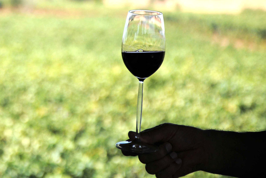 Alkol yedi saniyede bir can alıyor