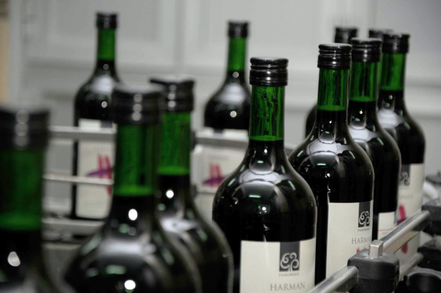 Alkol kullanımında güvenli miktar yok Alkol kullanımında güvenli miktar yok