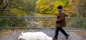 Almanya'da köpek sahipleri 2025’te 429,7 milyon Euro vergi ödedi
