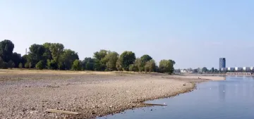 Almanya‘da nehirler kuraklık nedeniyle çekiliyor Almanya‘da nehirler kuraklık nedeniyle çekiliyor