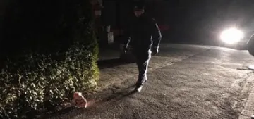 Almanya'da caminin önüne domuz başı bırakıldı