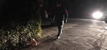 Almanya'da caminin önüne domuz başı bırakıldı Almanya'da caminin önüne domuz başı bırakıldı