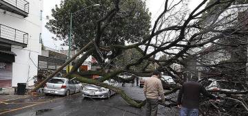 Fırtına nedeniyle Almanya’da en az 3 kişi öldü Fırtına nedeniyle Almanya’da en az 3 kişi öldü