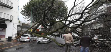 Almanya'da kasirgada 7 kisi öldü Almanya'da kasirgada 7 kisi öldü