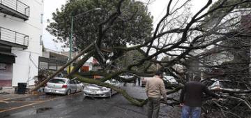 Almanya'da kasirgada 7 kisi öldü