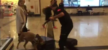 Almanya'dan gelen yolcularin valizlerine köpekli arama