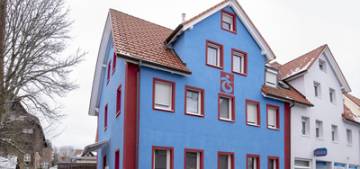 Almanya'da yasayan Karadenizli evini bordo maviye boyattı Almanya'da yasayan Karadenizli evini bordo maviye boyattı