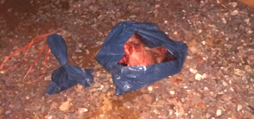 Schwelm‘de cami inşaatına domuz kafası bırakıldı Schwelm‘de cami inşaatına domuz kafası bırakıldı