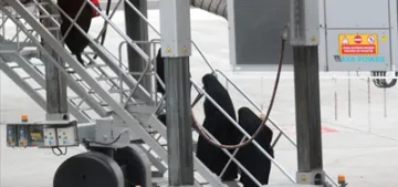 Sınır dışı edilen terörist savaşçılar Almanya'ya geldi Sınır dışı edilen terörist savaşçılar Almanya'ya geldi