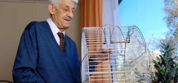 Türkischen Tee gefällig ?