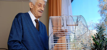 Türkischen Tee gefällig ?