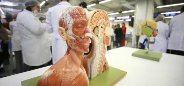 Orta yaştaki kadınların hafızası daha güçlü Orta yaştaki kadınların hafızası daha güçlü