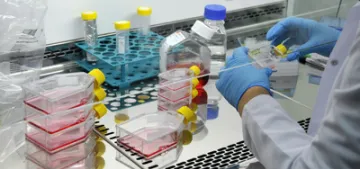 Almanya’da koronavirüs vakası 5’e yükseldi