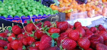 Günlük ne kadar miktarda meyve tüketilmeli? Günlük ne kadar miktarda meyve tüketilmeli?