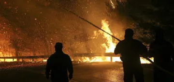 Brandenburg Eyaleti’nde orman yangını