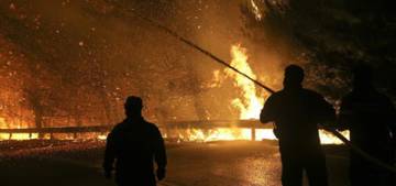 Brandenburg Eyaleti’nde orman yangını