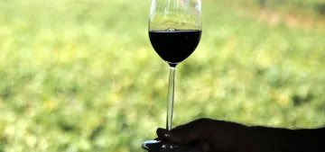 Alkol yedi saniyede bir can alıyor Alkol yedi saniyede bir can alıyor