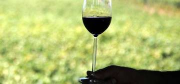 Alkol yedi saniyede bir can alıyor