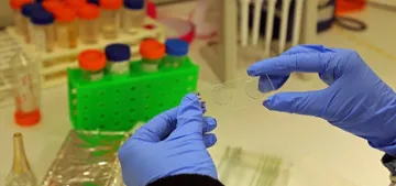 NRW Eyaleti’nde 14 yeni koronavirüs vakası tespit edildi NRW Eyaleti’nde 14 yeni koronavirüs vakası tespit edildi