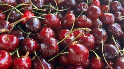Türkiye'nin kiraz ihracatı 11 kat arttı