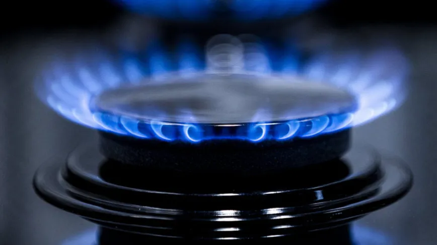 Almanya doğal gaz depolarının doluluk oranını tartışıyor