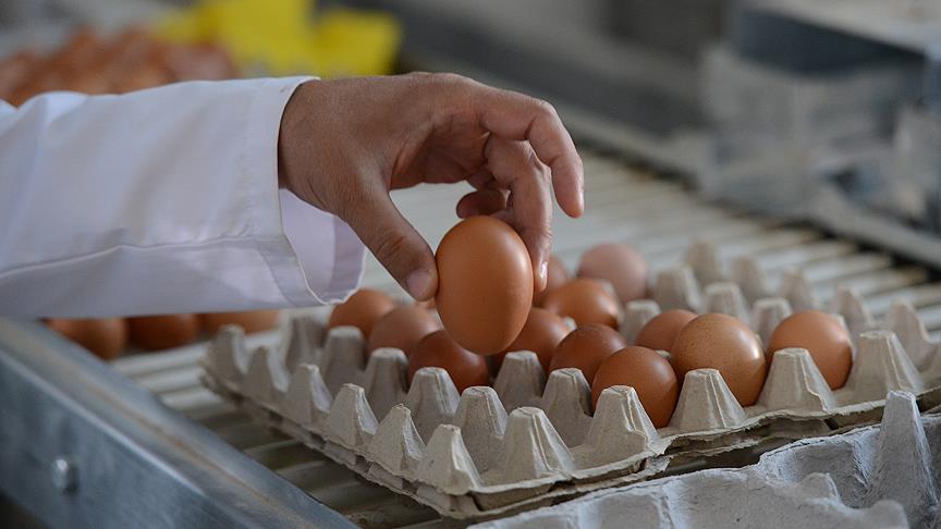 Göz sağlığı için yumurta yenilmesi öneriliyor
